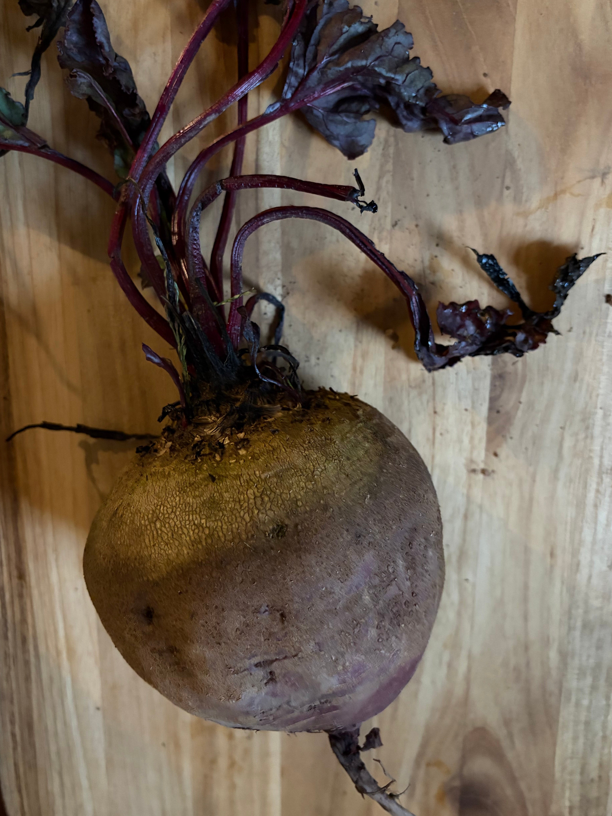 Beets
