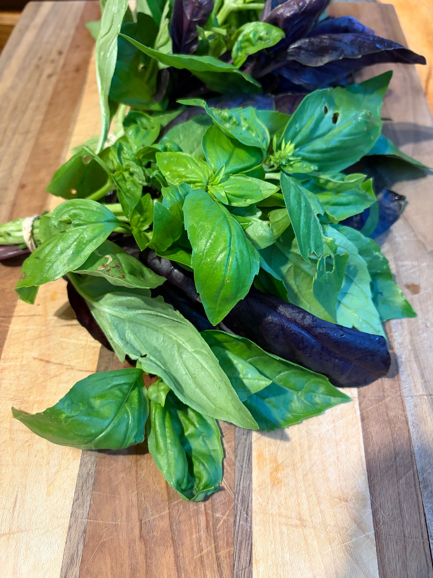 Fresh Basil