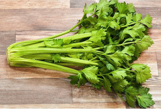 Celery