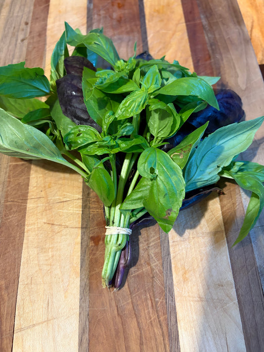 Fresh Basil