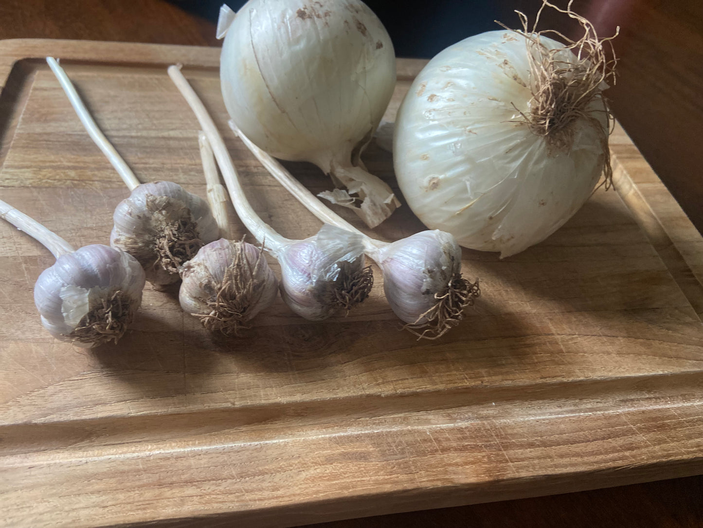 Onions