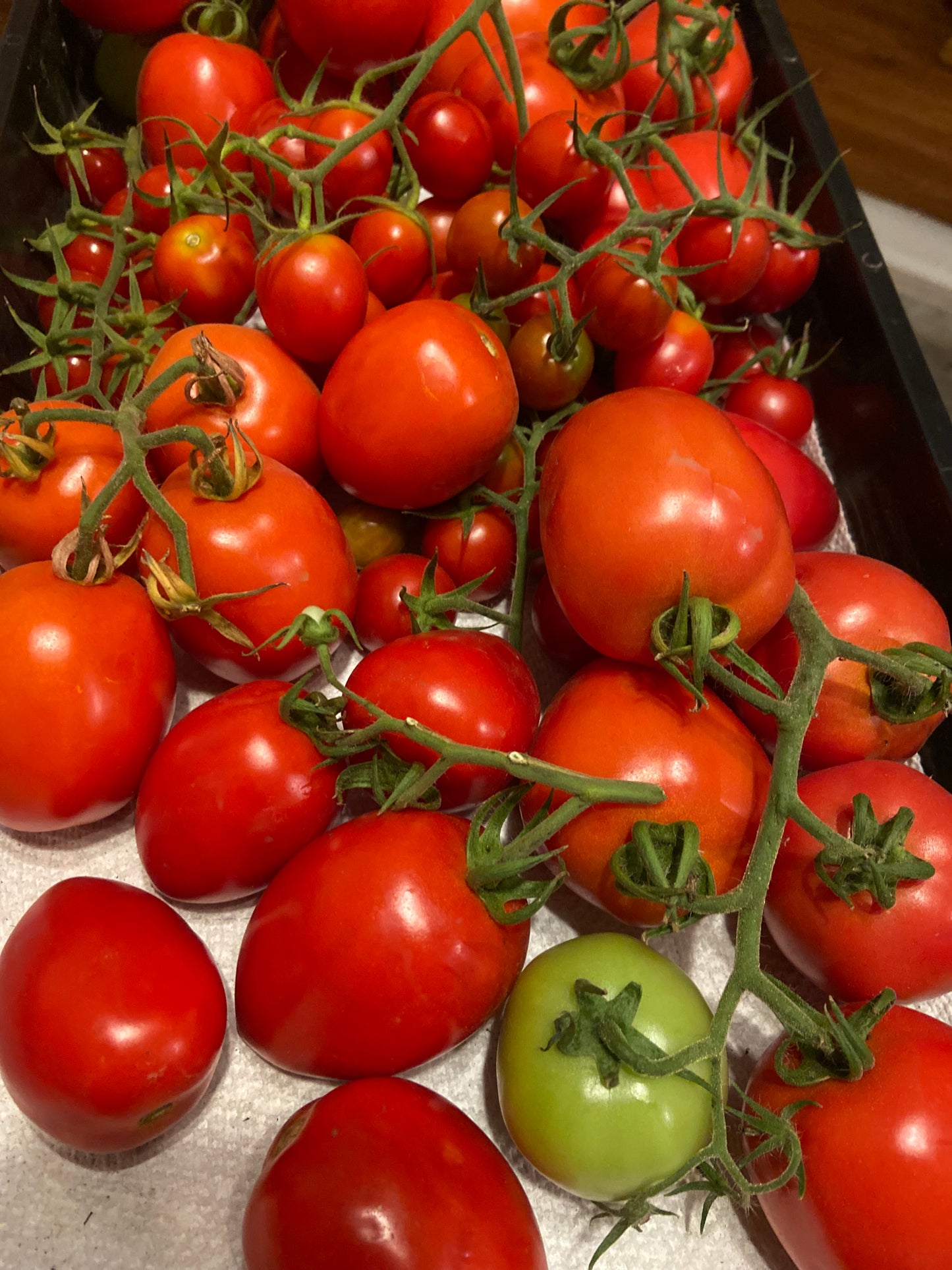 Cherry Tomatoes