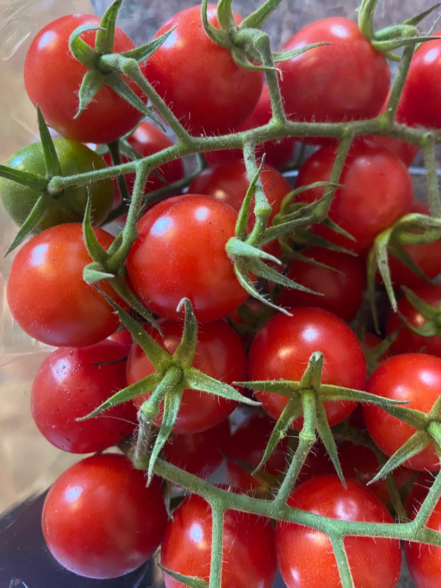 Cherry Tomatoes