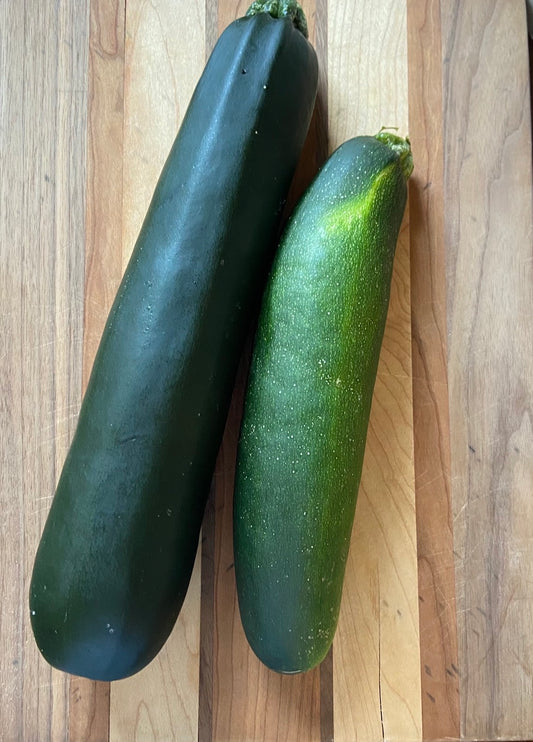 Zucchini