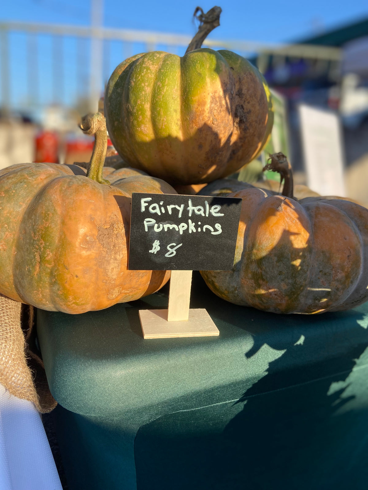 Fairytale pumpkins - French Heirloom Squash