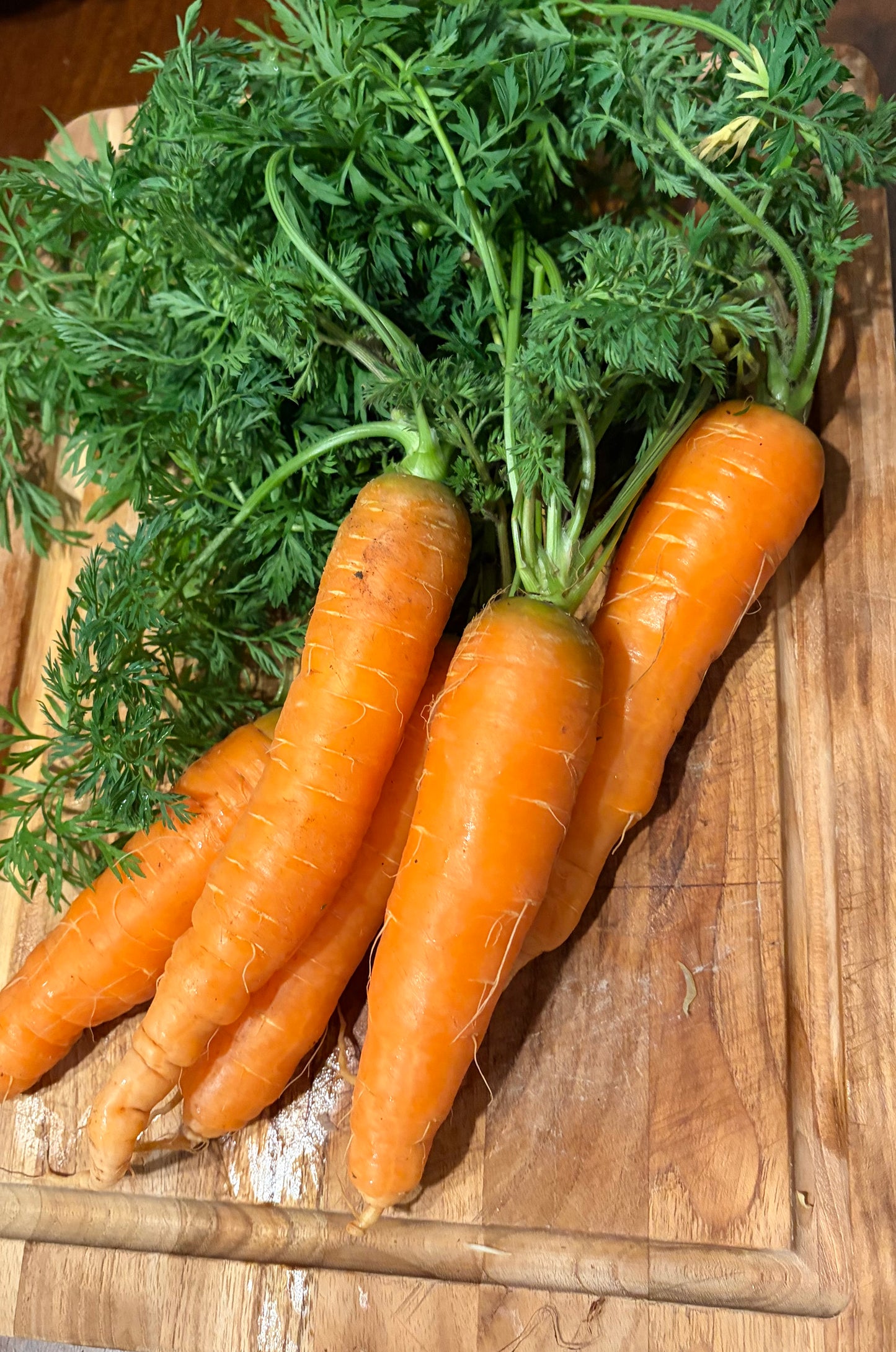 Organic carrots