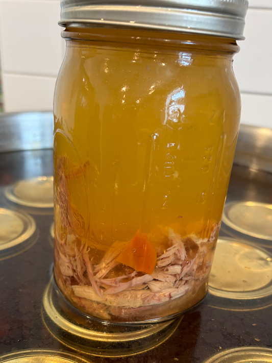 Chicken soup bone broth